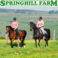Springhill Farm Riding Stables & Bunkhouse